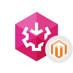 SSIS Data Flow Components for Magento