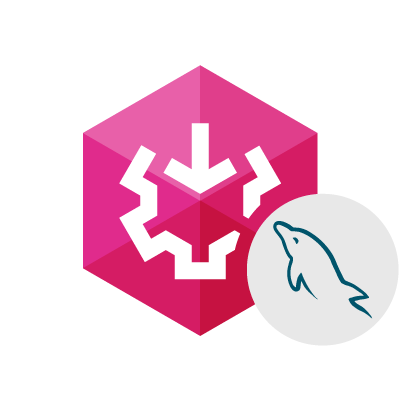 SSIS Data Flow Components for MySQL/MariaDB