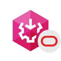 SSIS Data Flow Components for Oracle