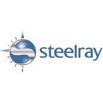 Steelray Project Analizer