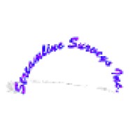 Streamline Surveys