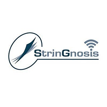 StrinGnosis