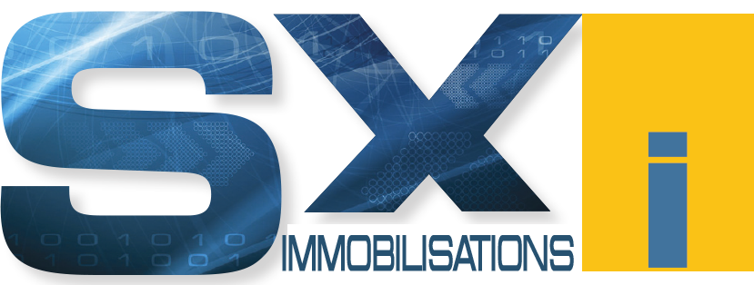 SXI - Immobilisations
