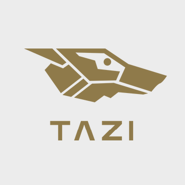 TAZI AutoML Platform