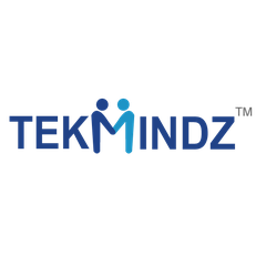 TekMindz