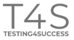 Testing4Success Web Testing