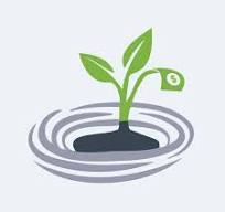 The Invest Nest