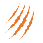 Tiger Fleet