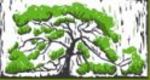 Trees in the Hood