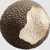 Truffle