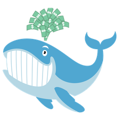 Unusual Whales