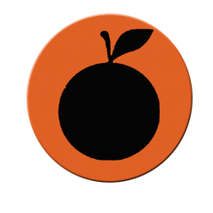 V-Orange Data Processing