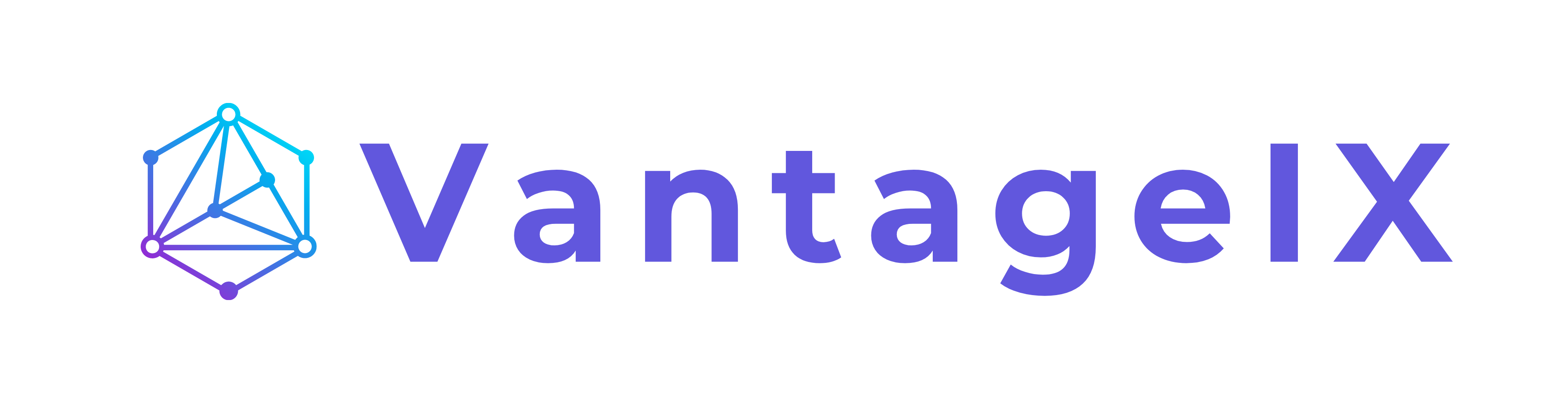 VantageIX
