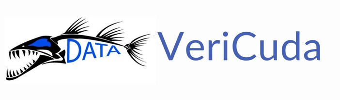 VeriCuda Inspection System