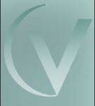Vero Auction System