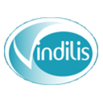 Vindilis