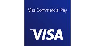 Visa Commercial Pay