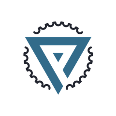 VizmaPro