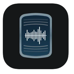 Voice to Text Pro