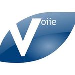 Voiie Marketing Solution