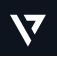 Vyzer