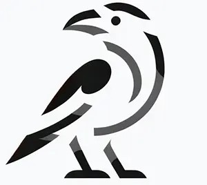 Website Raven