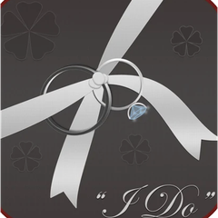 Wedding Planner Professional