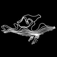 Whale & Jaguar
