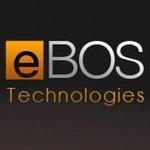 WiseBOS RiSC