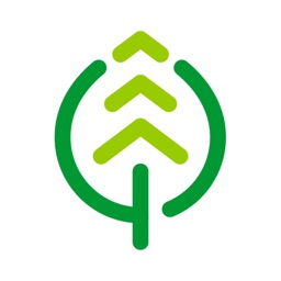 Worktree