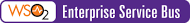 WSO2 Enterprise Service Bus
