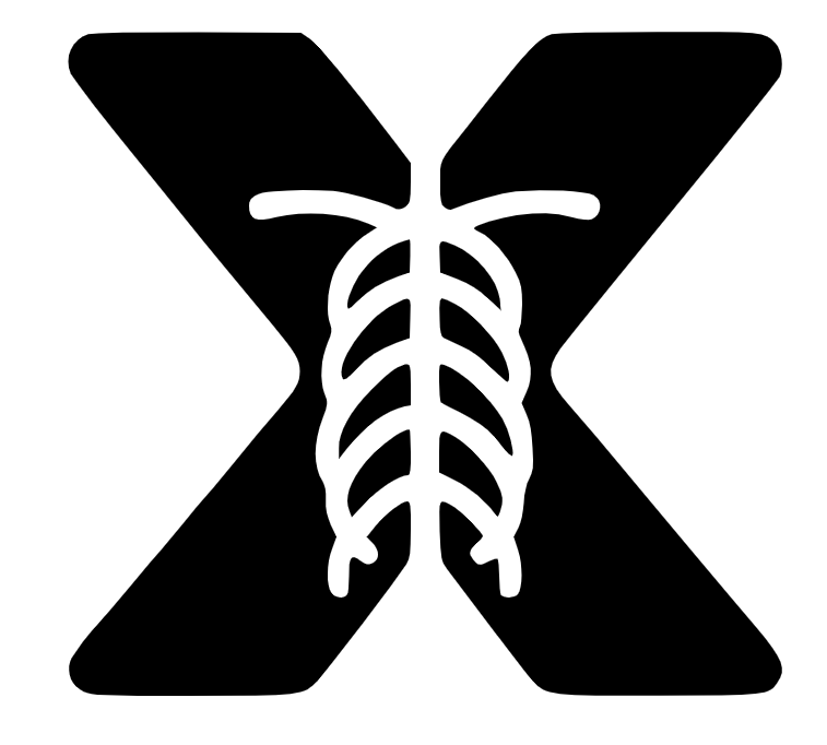 X-ray Interpreter