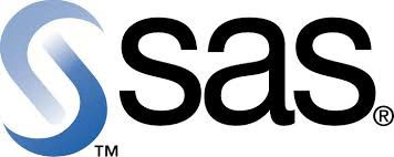 SAS BI